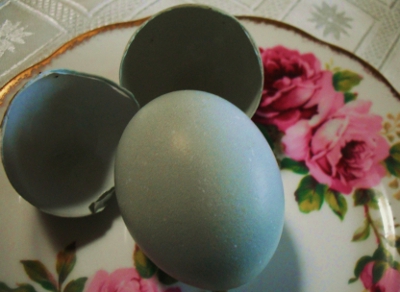 They're Even Blue On The Inside.jpg