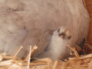 What Are You Looking At.JPG
