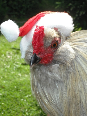 Ho, Ho, Ho, Merry Christmas.jpg