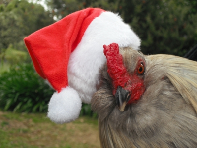 Santa Rooster.JPG