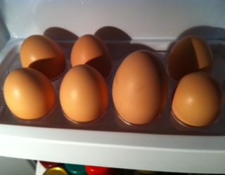 Mega egg.jpg
