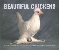 Beautiful Chickens.jpg