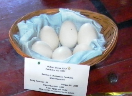 Eggs.JPG