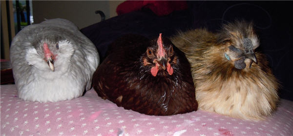 all together.jpg