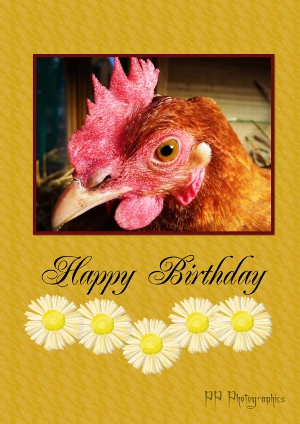 Lady Frances Birthday.jpg