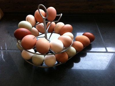 Keeping Chickens Newsletter July'12.jpg