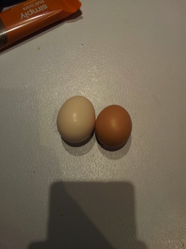 eggpenny.jpg