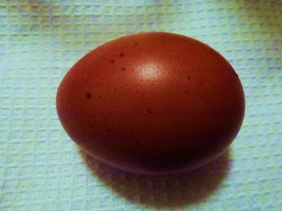 Darkest Egg.JPG