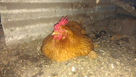 IMAG0773.jpg