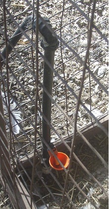 drinker 4.jpg