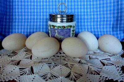 Duck Eggs & Egg Coddler.jpg