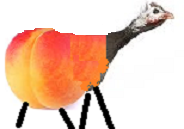 peach_guineafowl.png