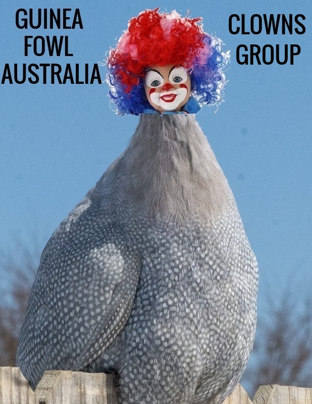 clownsgroup.jpg