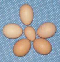 Aug09eggbasket.jpg