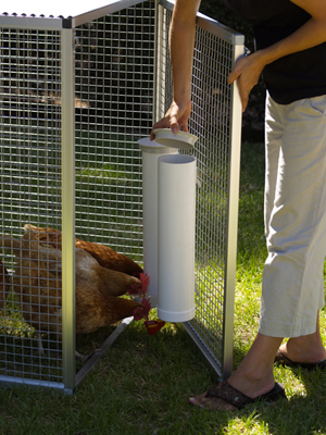 opening feeder.jpg