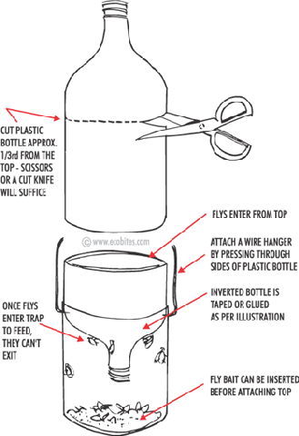 fly-trap.gif